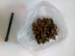 marihuana oraz lufka 2