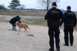 policjanci podczas kontrolowania miejsc objętych zakazem